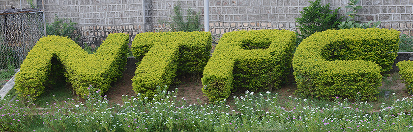 NTPC