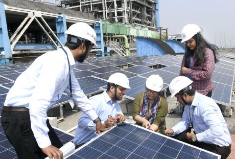 Employees at Work in a Solar Project